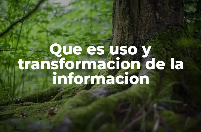 Que es Uso y Transformacion de la Informacion