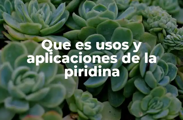 Que es Usos y Aplicaciones de la Piridina
