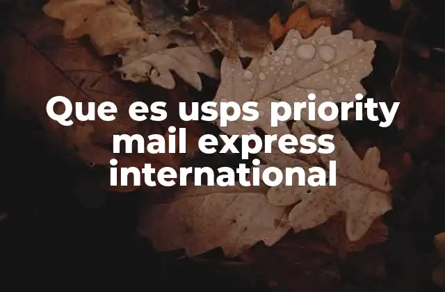 Que es Usps Priority Mail Express International 2 Cómo funciona el envío urgente internacional a través de USPS