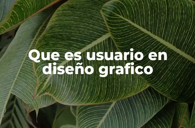 Que es Usuario en Diseño Grafico