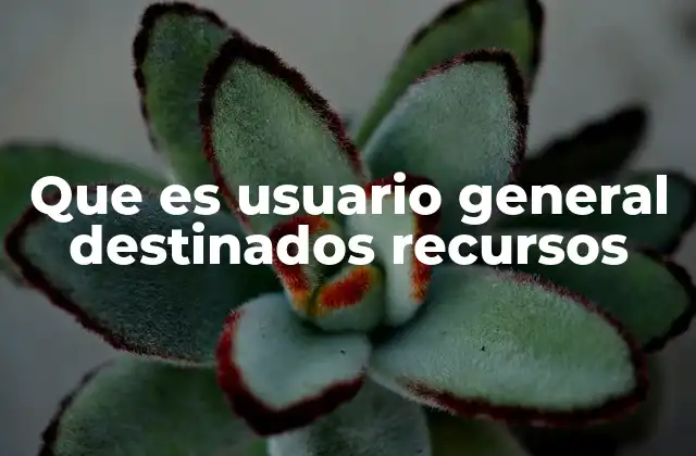 Que es Usuario General Destinados Recursos