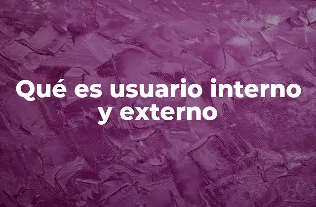Qué es Usuario Interno y Externo