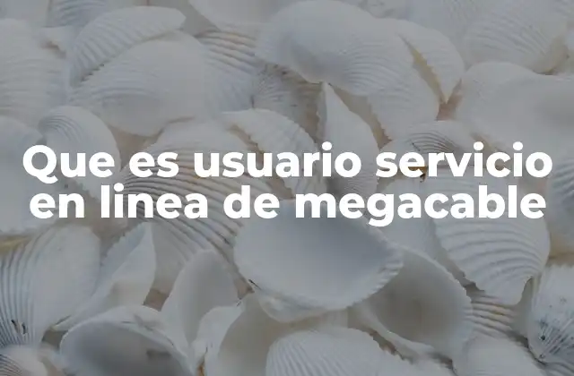 Que es Usuario Servicio en Linea de Megacable
