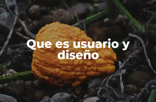 Que es Usuario y Diseño