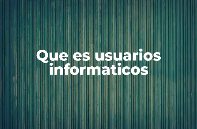 Que es Usuarios Informaticos