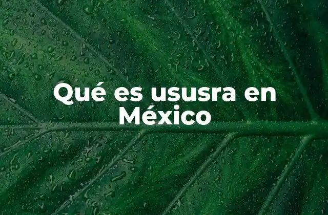 Qué es Ususra en México