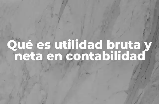 Cómo se diferencian los conceptos de utilidad bruta y neta