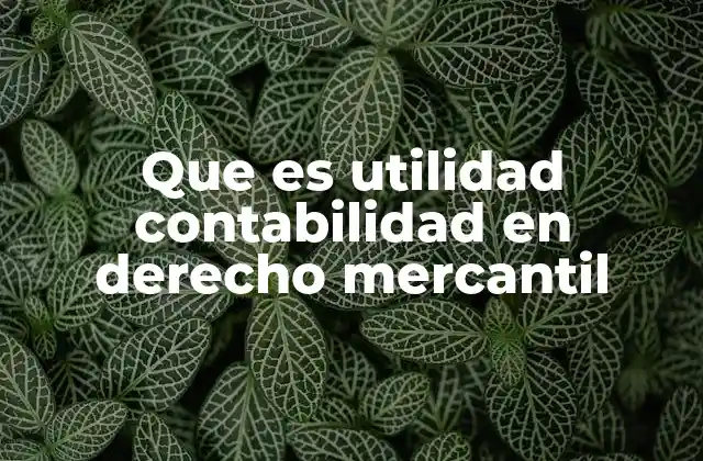 Que es Utilidad Contabilidad en Derecho Mercantil