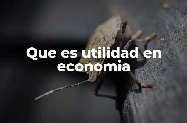 Que es Utilidad en Economia