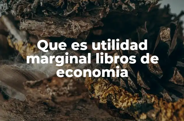 Que es Utilidad Marginal Libros de Economia