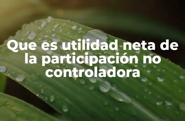 Que es Utilidad Neta de la Participación No Controladora