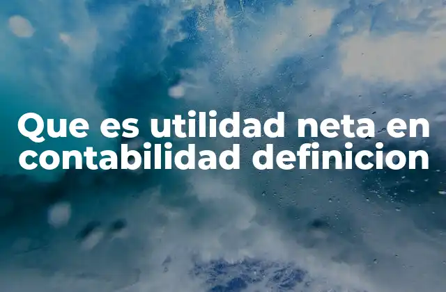 Que es Utilidad Neta en Contabilidad Definicion