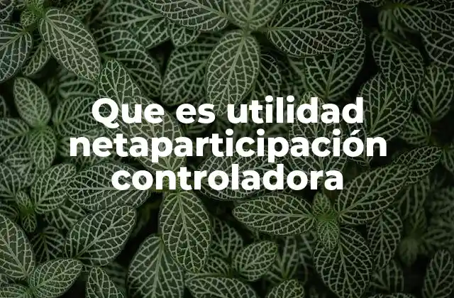 Que es Utilidad Netaparticipación Controladora