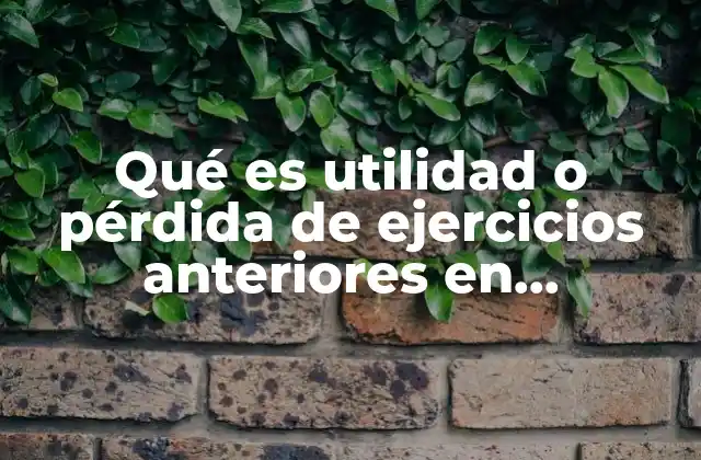 Qué es Utilidad o Pérdida de Ejercicios Anteriores en Contabilidad