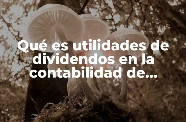 Qué es Utilidades de Dividendos en la Contabilidad de Sociedades