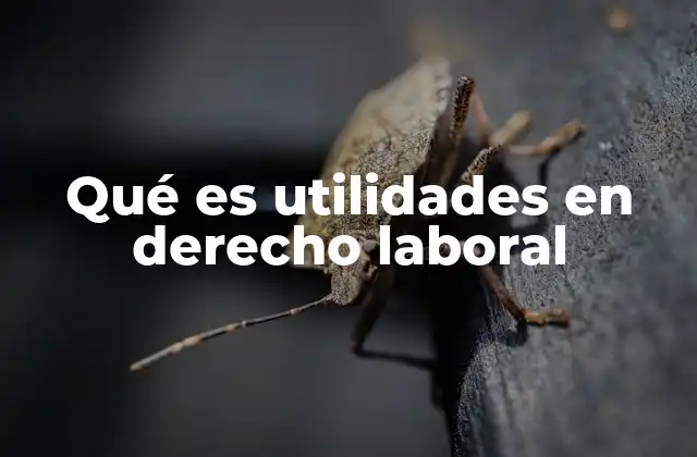 Qué es Utilidades en Derecho Laboral