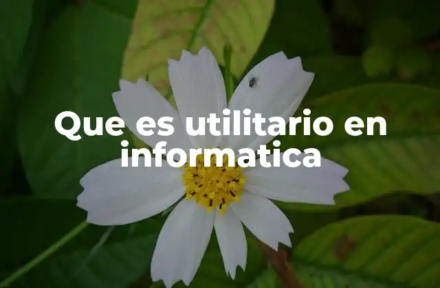 Que es Utilitario en Informatica