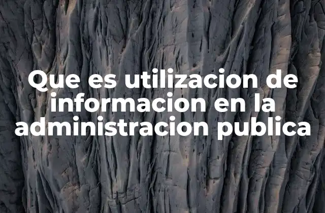 Que es Utilizacion de Informacion en la Administracion Publica