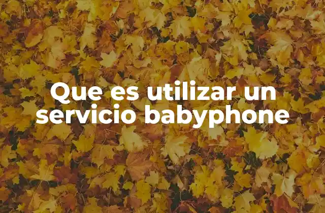 Que es Utilizar un Servicio Babyphone