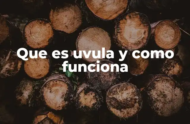 Que es Uvula y como Funciona