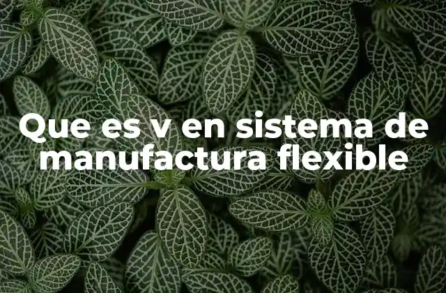 Que es V en Sistema de Manufactura Flexible 2 La importancia de la V en el diseño de sistemas de producción