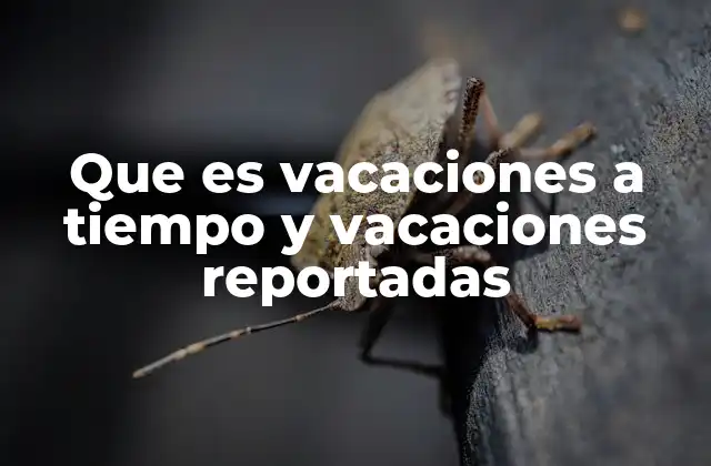 Que es Vacaciones a Tiempo y Vacaciones Reportadas