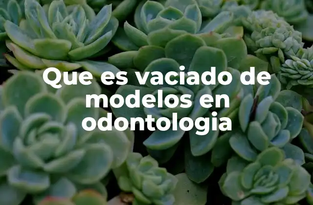 Que es Vaciado de Modelos en Odontologia