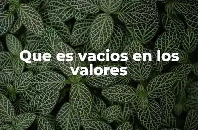 Que es Vacios en los Valores
