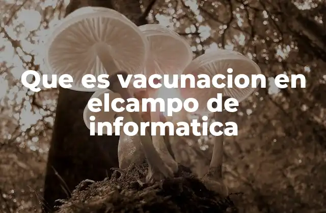 Que es Vacunacion en Elcampo de Informatica