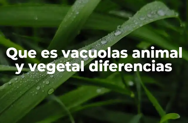 Que es Vacuolas Animal y Vegetal Diferencias