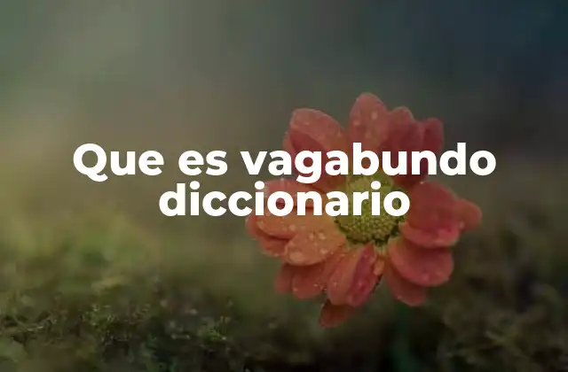 Que es Vagabundo Diccionario 2 La evolución social y cultural del concepto de vagabundo