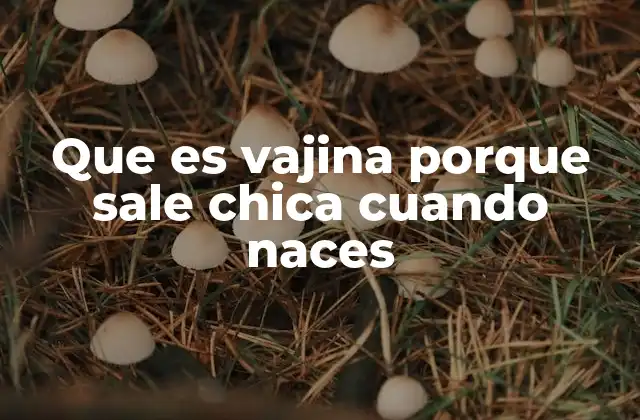 Que es Vajina Porque Sale Chica Cuando Naces