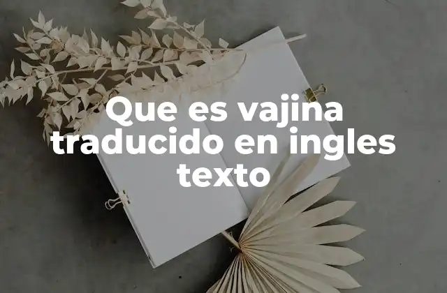 Que es Vajina Traducido en Ingles Texto