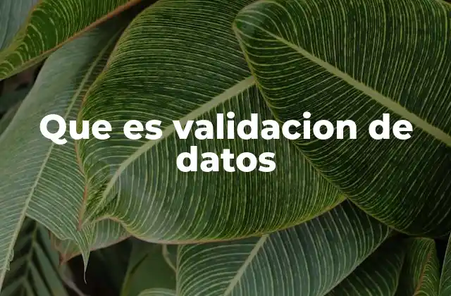 Que es Validacion de Datos