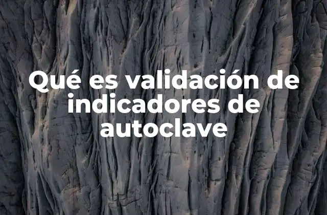 Qué es Validación de Indicadores de Autoclave