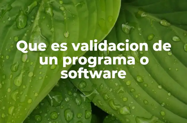 Que es Validacion de un Programa o Software
