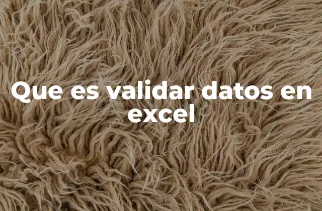 Que es Validar Datos en Excel