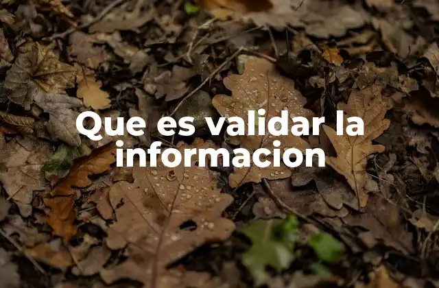 Que es Validar la Informacion