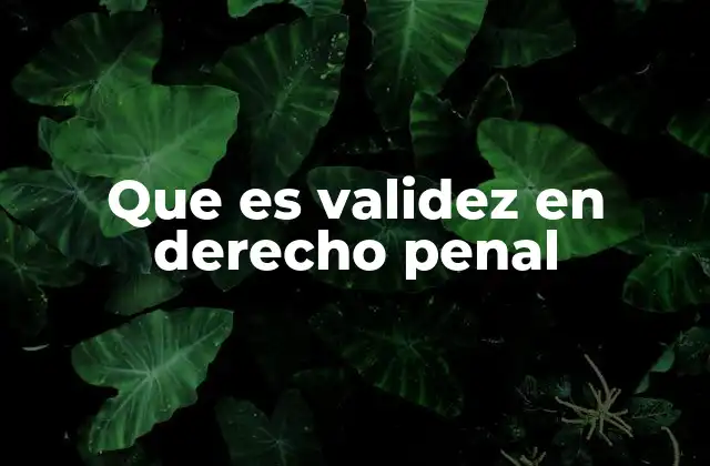 Que es Validez en Derecho Penal