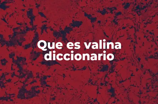 Que es Valina Diccionario
