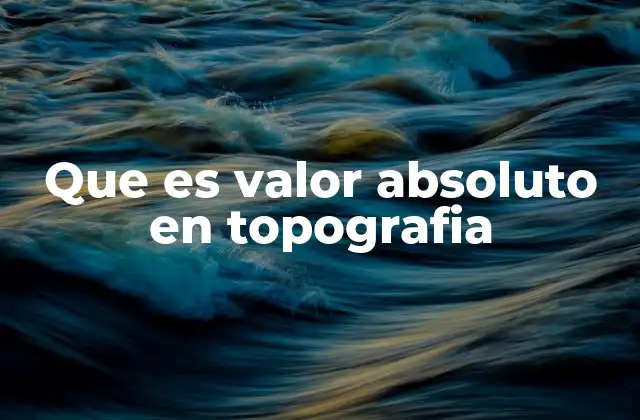 Que es Valor Absoluto en Topografia