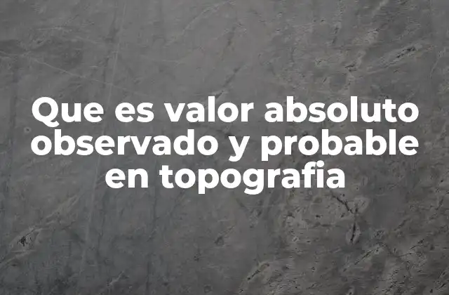 Que es Valor Absoluto Observado y Probable en Topografia