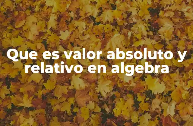 Cómo se aplican el valor absoluto y relativo en problemas algebraicos
