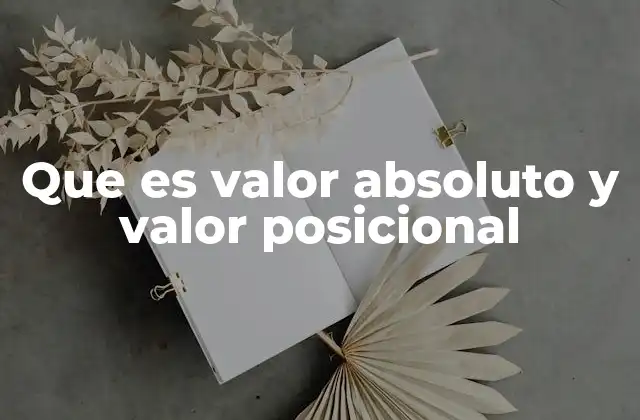 Que es Valor Absoluto y Valor Posicional