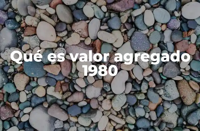 Qué es Valor Agregado 1980