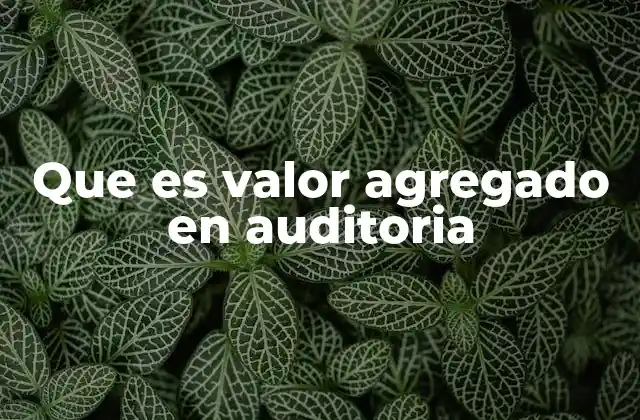 Que es Valor Agregado en Auditoria