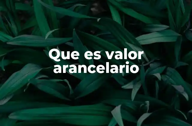 Que es Valor Arancelario