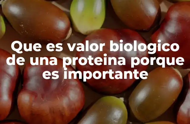 Que es Valor Biologico de una Proteina Porque es Importante