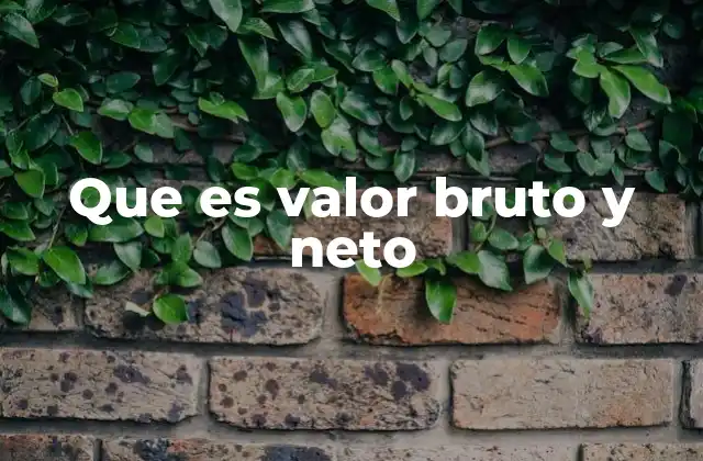 Que es Valor Bruto y Neto