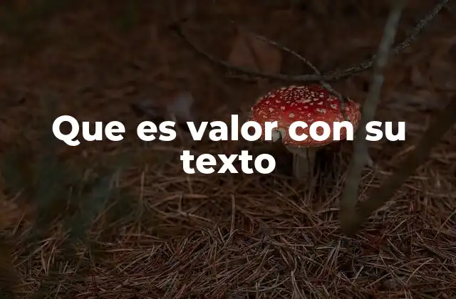 Que es Valor con Su Texto